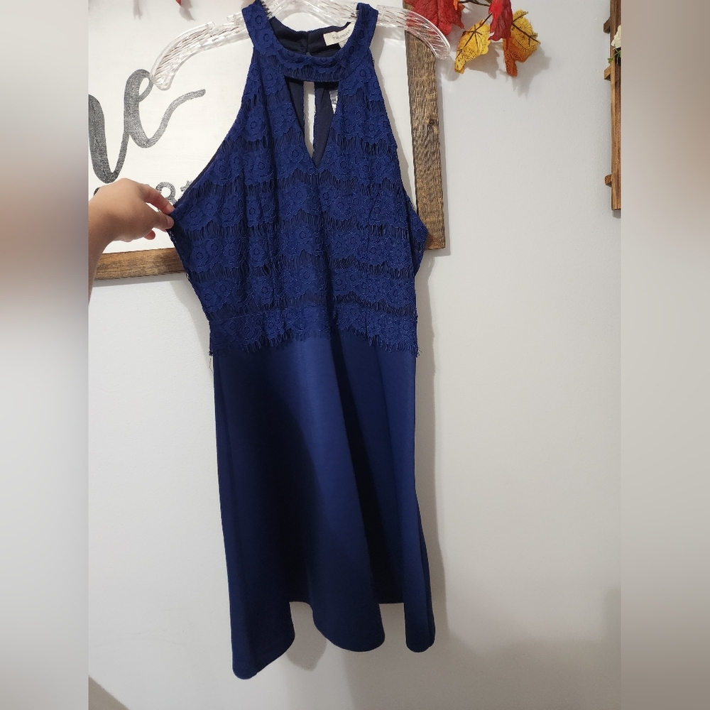 Francesca's Collections Navy Blue Lace Halter Mini Dress - Picture 4 of 4